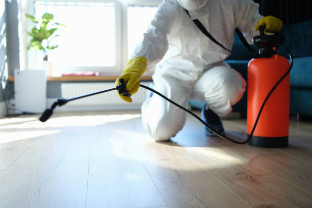 Trusted Sewage Cleanup service in Springfield, MN - Four Month Blood Cleanse